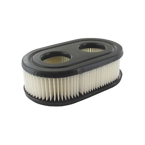 Filtro Air BRIGGS et STRATTON 798452