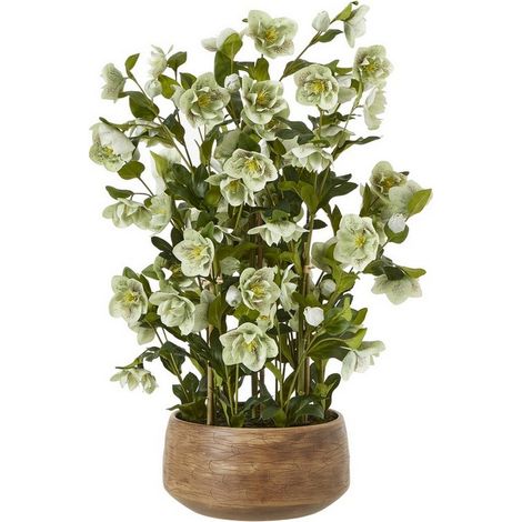 Large Hellebore in Pot - Plastic - L52 x W52 x H85 cm - Green/Taupe