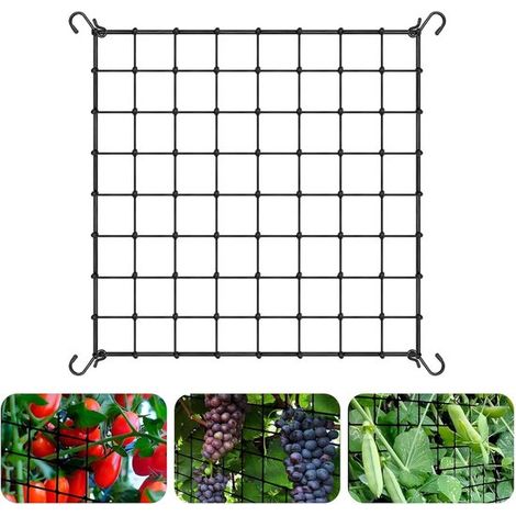 Filet élastique pour plantes grimpantes - 120 x 120 cm - Filet de support pour plantes - Filet de treillage résistant avec crochets - Filet pour plantes et fleurs grimpantes - Maille 10 x 10 cm - Noir (1/5)