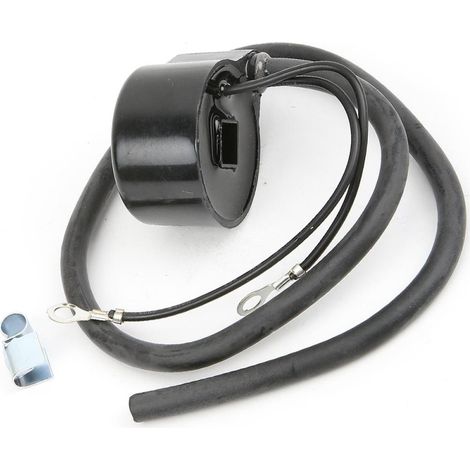 Bobine d'allumage pour Tecumseh. 16330001, 14160020 (1/5)