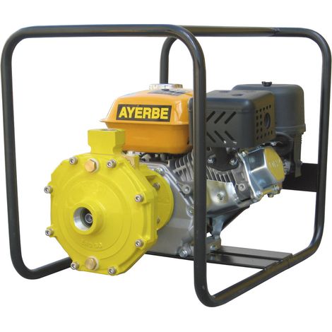 AYERBE - 5419300 - Motopompe thermique Ayerbe modèle 130 avec moteur KIOTSU Ap usage agricole ou industriel