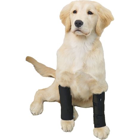Protection Articulaire pour Animaux JT2 - Noir pour Soutien Canin (1/5)