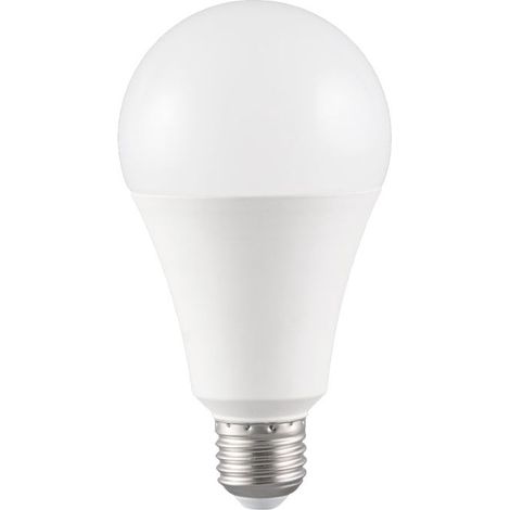 Standard LED-Lampe 15W E27 6000K (1/2)
