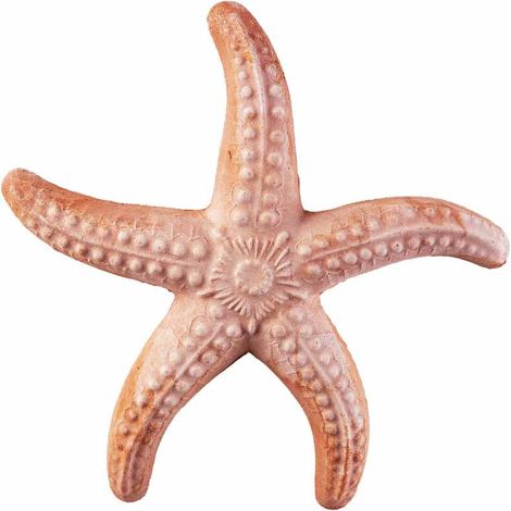 STELLA MARINA IN TERRACOTTA 20CM