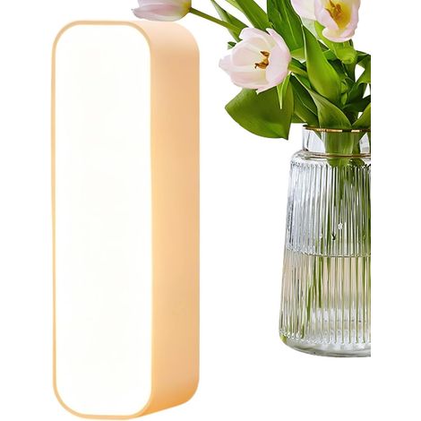 Veilleuse pour LED à détecteur de mouvement rechargeable (1/5)