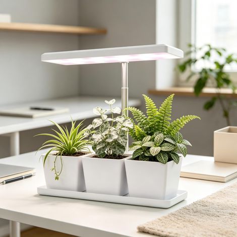 Lampe LED horticole 10 W à spectre complet avec 3 pots blancs OKWISH (1/5)