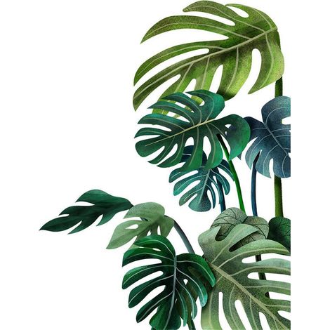 2 murs de plantes à feuilles vertes, face à la chambre des enfants (1/5)