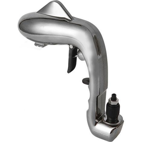 Pistolet à champagne style dauphin, pulvérisateur de bière et distributeur (noir) (1/5)