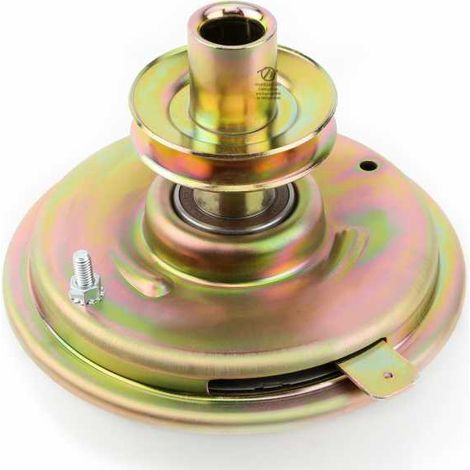 Embrayage de lame mécanique AYP 170163 (1/5)