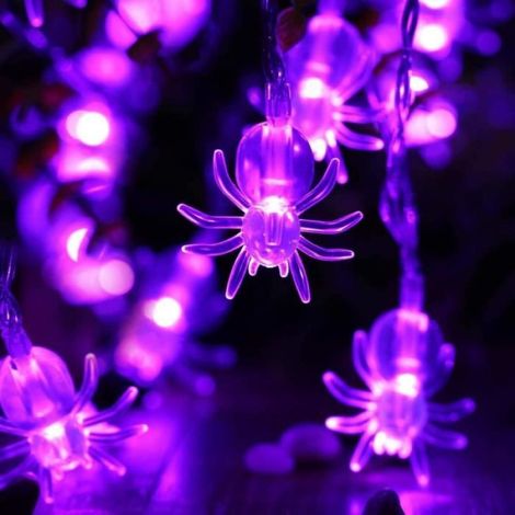 Guirlande Lumineuse - Araignée - 2.9M - 20 LED - Pourpre - Décoration Halloween Extérieur