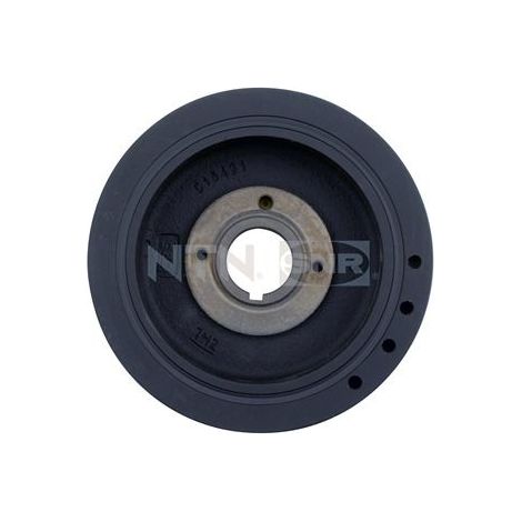 Dampers - DPF359.12 - SNR - Compatible avec véhicule Peugeot, Citroen