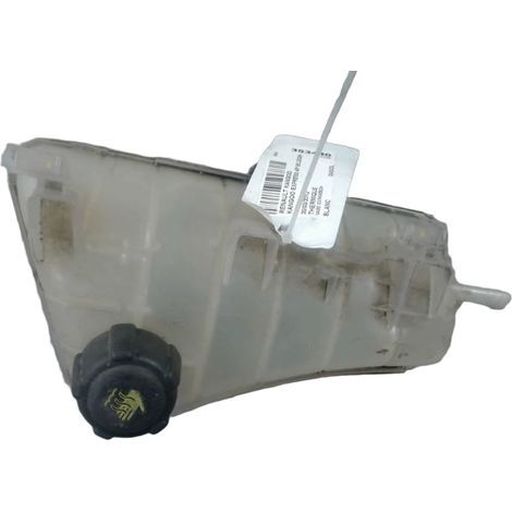Vase Expansion RENAULT Kangoo Express 2008- [PRODUIT D'OCCASION]♻️7701478318 (1/3)