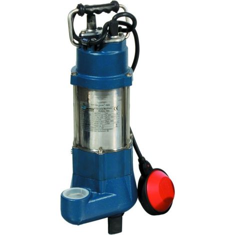 Pompe électrique submersible eau sale hp 0,50 - Salon (1/3)