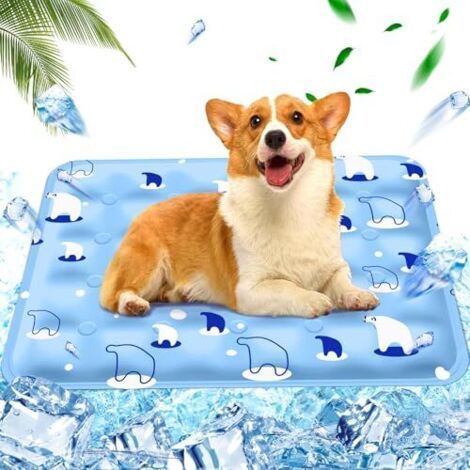 Tapis Coussin rafraichissant pour chien Injection d'eau,Tapis Refroidissement chat Matelas, Tapis rafraîchissant pour Animaux de Compagnie Matelas, Ours polaire bleu clair, 50x60cm, L (1/5)