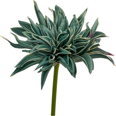 Asta decorativa homy h. 55 cm - Atmosphera créateur d'intérieur (1/4)