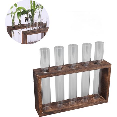 Terrario de 5 tubos de vidrio transparente, impermeable, sobre una base de madera de pino, incluye cepillo para reubicarlo en el alféizar de la ventana. (1/5)