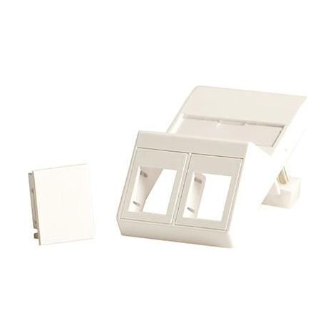 Lanview placca a muro angolata per 2 chiavi di volta, adatta per presa LK FUGA da 50x75 mm, bianca, LVN126105