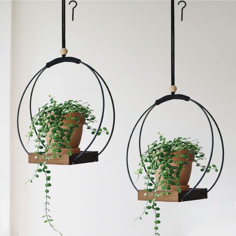 Hangers d'usine intérieure avec support de base pour mur et fenêtre et décor de chambre 2 pack (1/5)