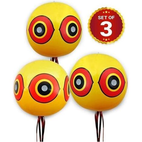Ballons Repulsif - Anti Pigeon Effaroucheur d'oiseaux - pour éloigner Pigeons, Corbeau et Plus - à Utiliser avec Ultrason/pic/Filet - Paquet de 3 (1/4)