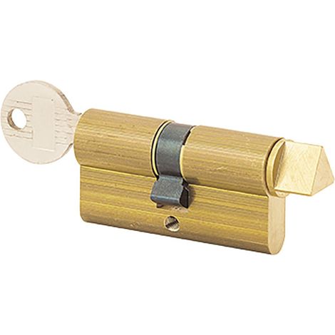 Cylindre européen EDF à clé triangulaire 11mm - THIRARD - TE11053931