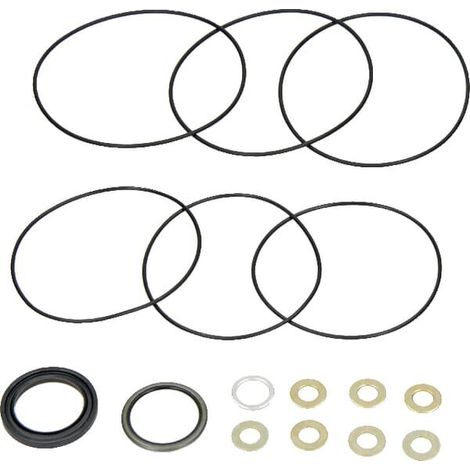 Set tenuta OMP serie7 HPS D:25 1511279 DANFOSS OMP9AFD97 (1/2)