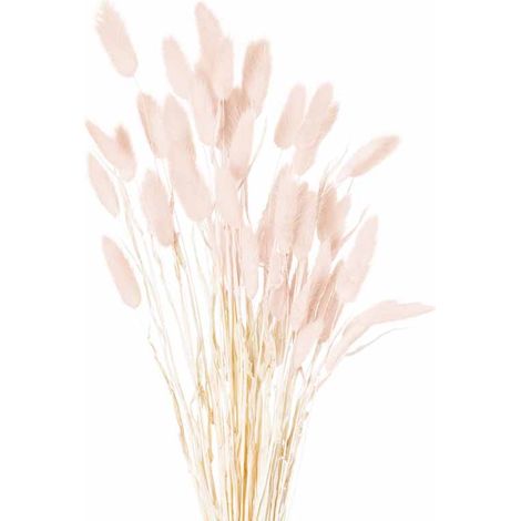 Dried Bunny Tail Bunch of 40 Artificial Plant - H60 cm - Pale Pink