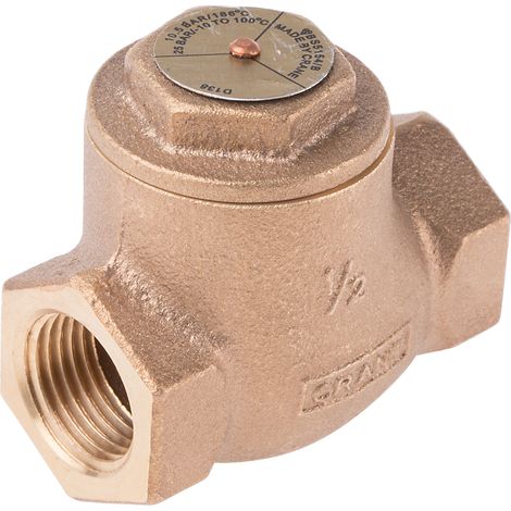 Clapet antiretour en Bronze RS PRO BSPT 1/2" ( Prix pour 1 ) (1/2)