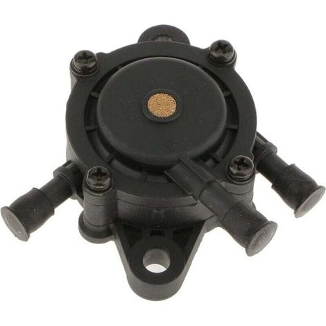 Remplacement De La Pompe De Carburant Pour Briggs & Stratton 491922 808656 (1/4)