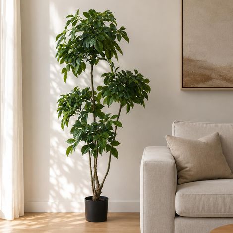 150cm Radermachera Realistic Artificial Tree - Premium Quality (1/3)