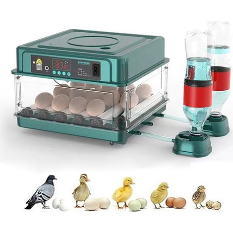 Mini Incubateur Automatique 15 œufs, Couveuse Oeuf, Retournement Automatique et Température Normé, Remplissage automatique en eau (1/5)