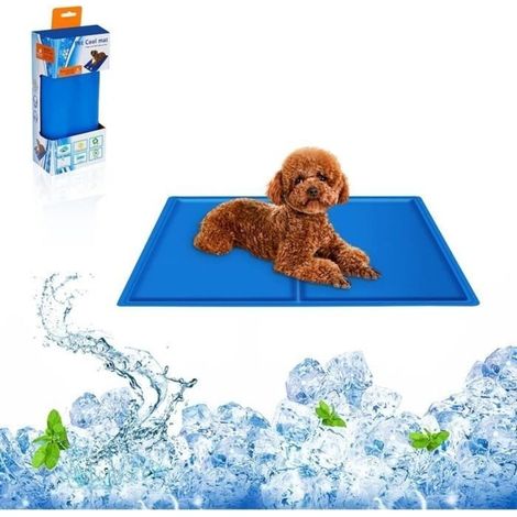 Tapis Rafraichissant Chien,40x50cm Tapis Refroidissement Animaux de Compagnie Tapi Durable Couverture Rafraîchissante avec Froid Gel (1/4)