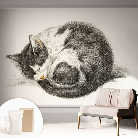 Fototapete Vliestapete mit Kleber - modern Wohnzimmer - Wanddekoration - einfach anzubringen Entzückendes Kätzchen 312x219 cm (1/5)