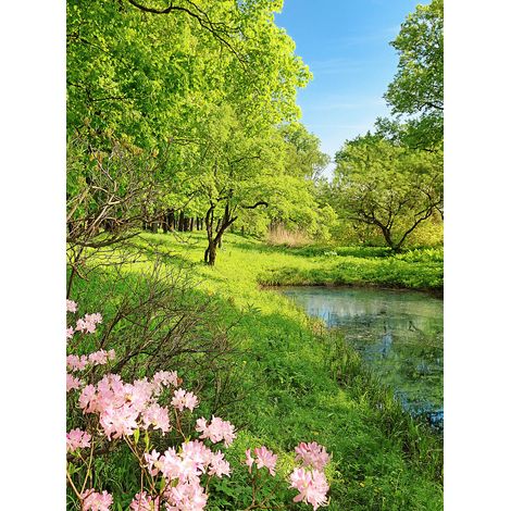 Papier peint panoramique printemps ensoleillé | Tapisserie panoramique paysage vert pour chambre | Papier peint panoramique jardin - 192 X 260 cm (4 pièces) (1/2)