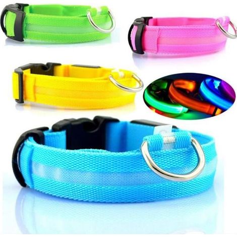 Collier Clignotant À Led Bleu Lumineux Ajustable Pour La Sécurité Chien - Bleu - Taille L ( 45-52 Cm ) (1/4)