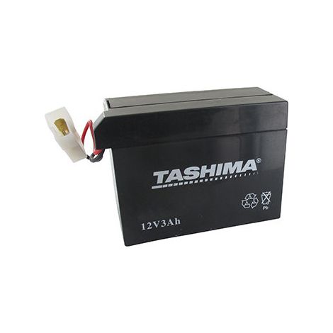Motorrad-Batterie Tashima 12V, 3A, anpassbar für Tecumseh. L: 110, B: 55, H: 80 mm, mit Spezialanschluss (ohne Säure geliefert)