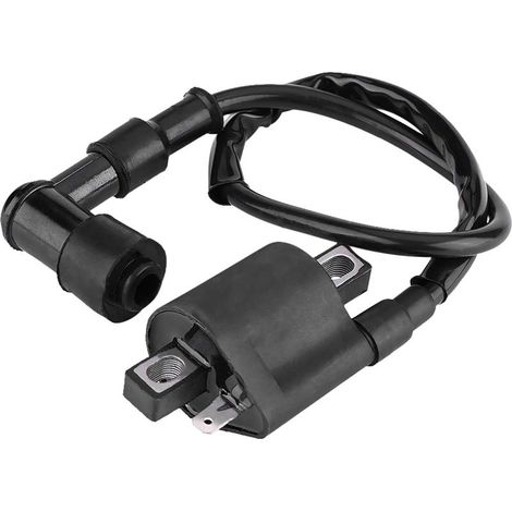 Bobine d'allumage de Scooter, Bobine Allumage, Bobine d'allumage pour Moto Tout-terrain MBK Booster Bobine d'allumage de moto pour la Plupart des Cyclomoteurs de Scooter de VTT 150CC 200CC 250 (1/5)