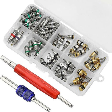 VURAHOME - 102pcs noyau de valve de climatiseur de voiture climatisation automobile tige de valve de pneu de réfrigération avec double tête double outil de démontage (1/4)