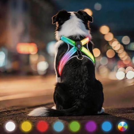 Harnais Chien Lumineux, Chien Anti Traction Réglable Harnais Lumineux LED Réfléchissant Réglable Harnais pour Chiot et Petit Moyen (1/5)