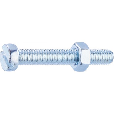 Bullone Tc Spaccato Az 6x40 /6