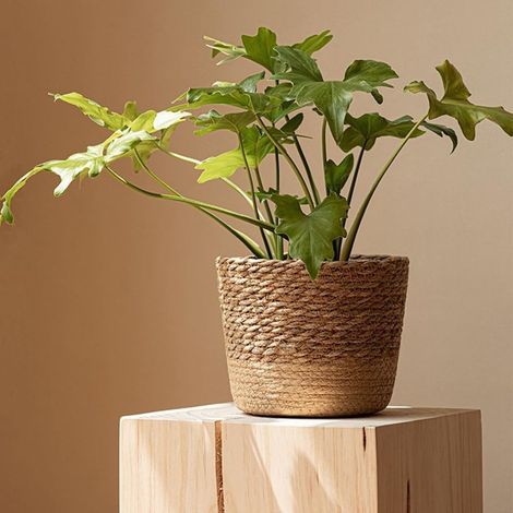 Pot de fleurs en paille panier osier rangement pour pots tissé à la main petit (1/5)