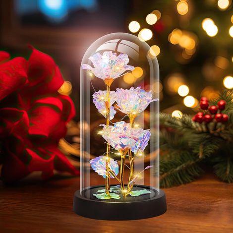Rose lumineuse sous cloche en verre - Cadeau de Saint-Valentin pour elle, épouse, petite amie, mère - Décoration intérieure (1/5)