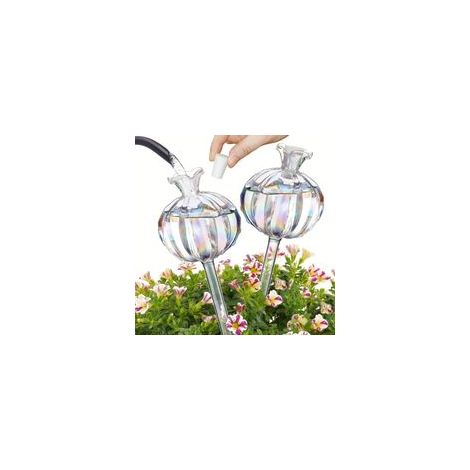 Dispositivo de riego para cactus, dispositivo de riego para plantas, dispositivo de riego automático - Crezuo