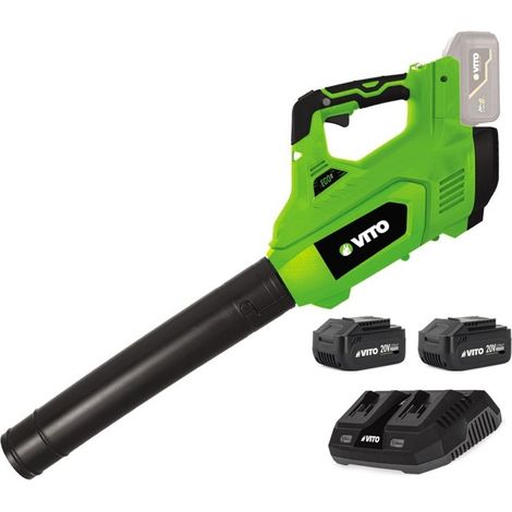 Souffleur de jardin 40V - 2 Batteries lithium 4AH + Chargeur DOUBLE VITO (1/4)