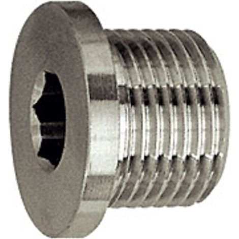 Riegler Verschlussschraube, Innensechskant, Bund, G 1/4, SW 6, ES 1.4571 (1/3)