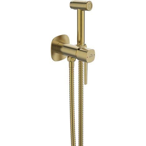 Grifo de bidé empotrado con juego de ducha (1/2)