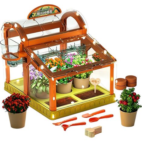 Genérico Kit Cultivo Plantas para Niños Juguetes Science con (1/5)
