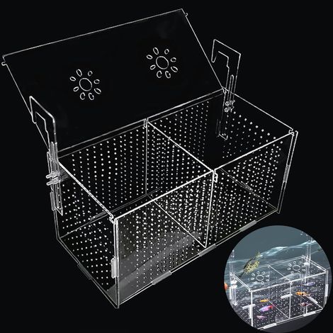 Boite Elevage Poisson Aquarium Breeding Box D'isolement Poissons Nurserie Peut être Utilisée pour L'isolement, L'éclosion, L'élevage de Poissons, etc (1/5)