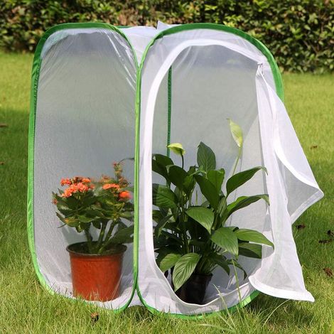 Cage de protection en maille pour plantes et élevage de papillons, cloche anti-insectes pour semis au potager, Composition : 60 × 60 × 90 cm, Couleur : vert (1/5)