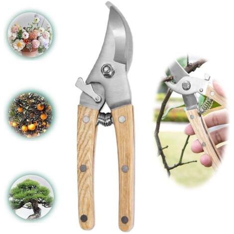 Gartenschere – Hochwertige Qualität – SK5-Stahl – Ergonomischer Griff – Sicherheitsverriegelung – 19 x 5 cm (1/5)