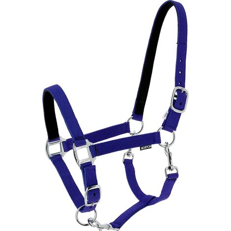 Capestro Norton dream halter nylon triplo strato fibbia metallo